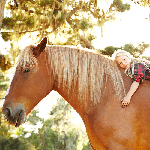 Reittherapie
