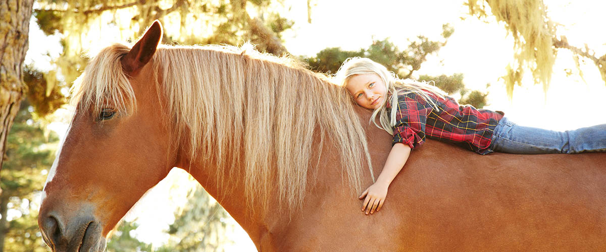 Reittherapie, Therapeutisches Reiten